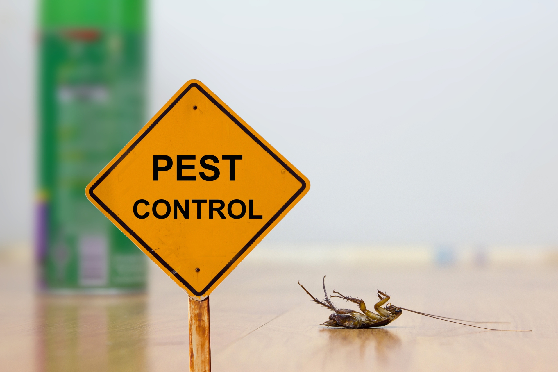24 Hour Pest Control, Pest Control in Northwood, Moor Park, HA6. Call Now 020 8166 9746